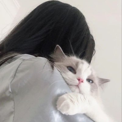 ほの💚🗝さんのプロフィール画像