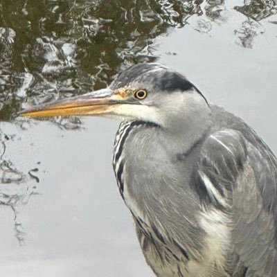 Jonnogram's profile picture. 