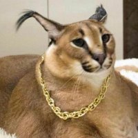 Deathly's Tech Support (@deathlysupport) 's Twitter Profile Photo