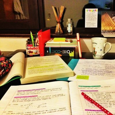 serve95077's profile picture. इंसान है तो इंसानियत होना जरुरी है।