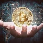 Wife, friend. Mother and sister. Family first.
Like traveling and meeting new people around the world.
A cryptocurrency investor in an Elite Trustees company