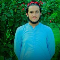 ضياءالرحمان پښتون مولاخیل(@PukhtoonZia) 's Twitter Profile Photo