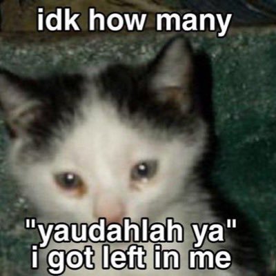 pixskullnft's profile picture. 