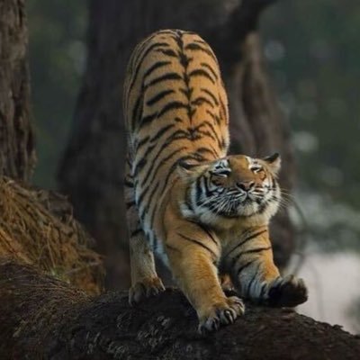 Herrera93948892's profile picture. 