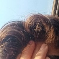 Amir (@amir_iiv) 's Twitter Profile