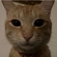 Vetrix2 ðŸ‡ðŸ‡· (@vetrix25) 's Twitter Profile