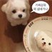 ๋ฉ.. (@k____ung) Twitter profile photo ๋ฉ.. (@k____ung) Twitter profile photo