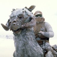 LeSpaceBum (@rayvens12) 's Twitter Profile