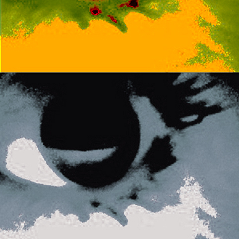 clairedec11's profile picture. 