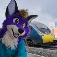 tibs the fox 🦊 (@tibsthefox) 's Twitter Profile