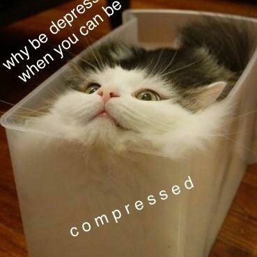 annette_kts's profile picture. From Siberia ❄ со всеми вытекающими👩🏼‍🔬
Et si soudainement j'étais heureuse hier, mais personne ne me l'a dit ?