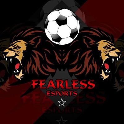 FearlessEsports 

management :
Diëgo 
Lerra
Robben

Leagues :

VPG  L3
VPG HOLLAND