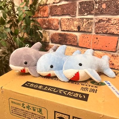 xl62229268's profile picture. 最近船旅とか鉄道旅でロマンを追い求めてるひと