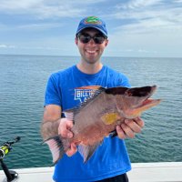 Johan van Nispen (@johannispen) 's Twitter Profile