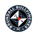 Brundall Bullfinches FC (@BullfinchesFC) Twitter profile photo