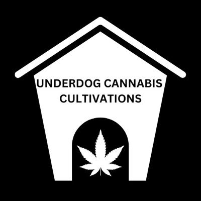 Nothing is for sale. Personal grow. Educational purposes only. Athena AG nutrients. IG: underdog_cannabis_cultivations