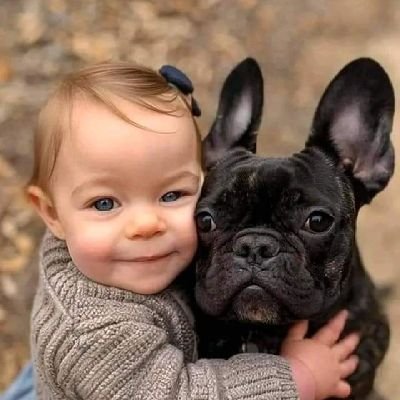 Welcome to #bulldog bliss .Let's enjoy together bulldog cuteness.
This page is dedicated for #frenchiebulldog lovers.