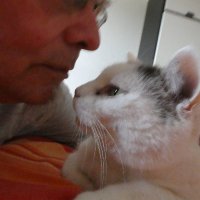 Beat Stocker (@katzenmensch4) Twitter profile photo
