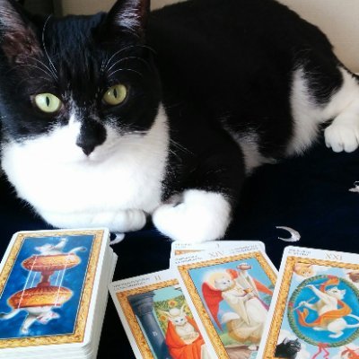 kiyuki83's profile picture. 京都で占いをしています。 

🔯本格鑑定はこちらから。https://t.co/s07FFfgilh