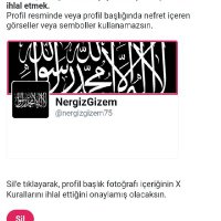 NergizGizem(@nergizgizem75) 's Twitter Profile Photo