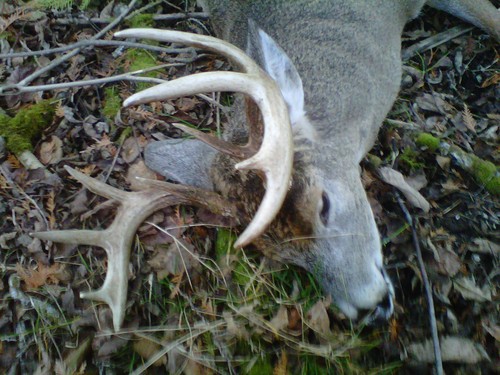 Graps32's profile picture. 