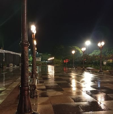 _WDaendels's profile picture. 
