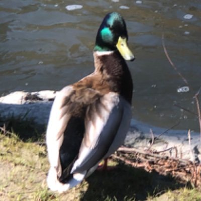 Ma_Mi_Twinsies's profile picture. 