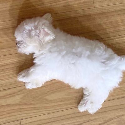 chabb_cs's profile picture. RT 🙅🏻‍♀️ Don't re-upload | 날아갈만한 영상만 모아모아