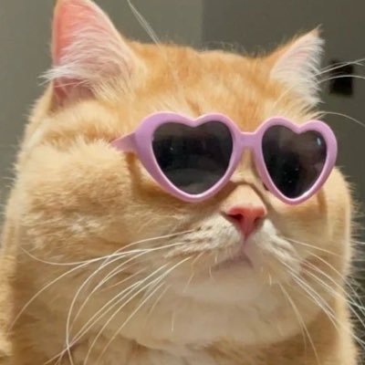 Berry__tooth's profile picture. 치씨가문 치약스 2n 감귤나라 표류 중인 (짭구삼)채프인디.ᐟ.ᐟ