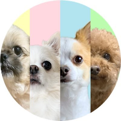 kinjinomago Profile Picture