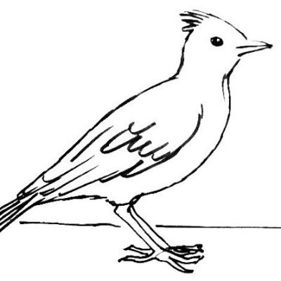 SkylarKing212's profile picture. No hedge only edge - Sun Tzu