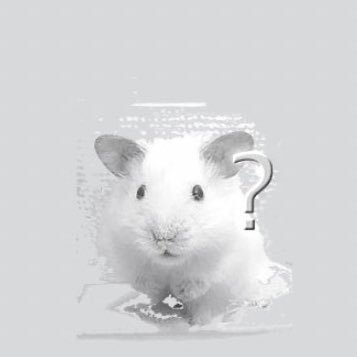 _mloiys's profile picture. 0(:3 / @Luna_ange_ ps.