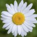 Compassionate Penarth (@comppenarth) Twitter profile photo Compassionate Penarth (@comppenarth) Twitter profile photo