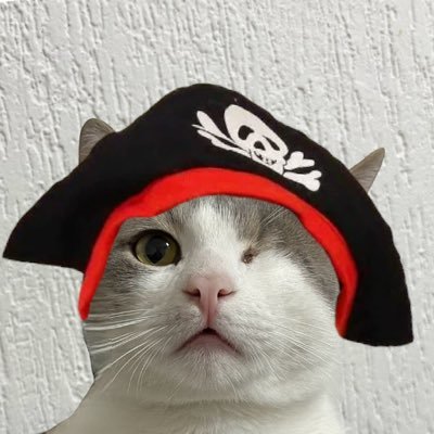 Ahoy! I am $WINKY the pirate cat from TikTok
CA: 4qtgF3MLRPmMA5JLwv7cq1cMxnTzr79kk4xuicW1Uxn1