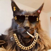 ƛƳƛƦƧԼȤ(@cixscat) 's Twitter Profile Photo