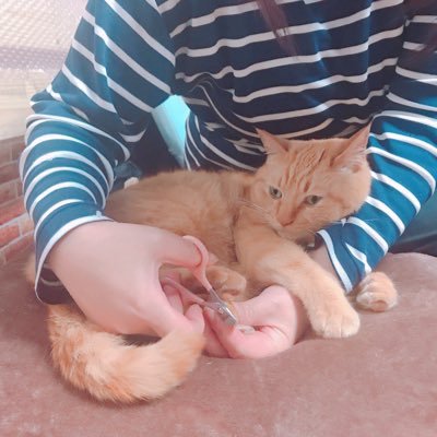 とりお　目標まで▲7キロさんのプロフィール画像