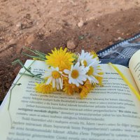 Amile (@karanevren) 's Twitter Profile