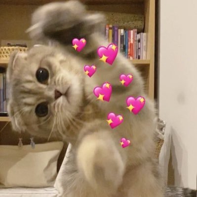 babychickey's profile picture. 