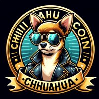 Chihuahua in a humans world(@Miloulchihuahua) 's Twitter Profile Photo