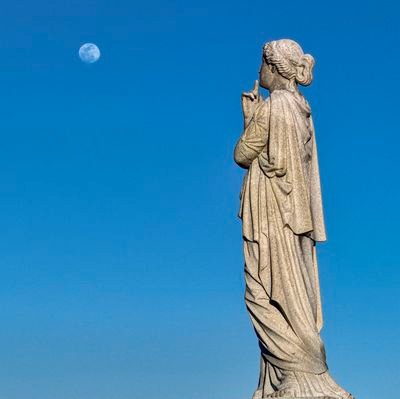 hollyjo17724829's profile picture. 