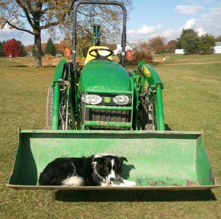 RossmoorGCmaint's profile picture. 