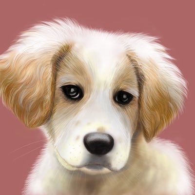 まるおさんのプロフィール画像