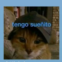oxi (@_your_oxitocin_) 's Twitter Profile