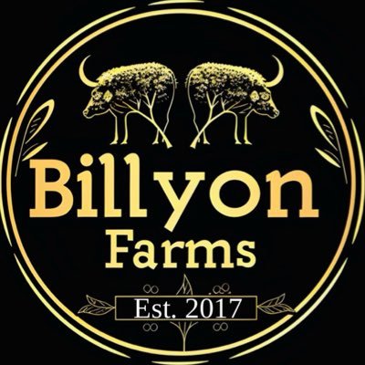 Entrepreneur |Billyon Farms Nigeria Limited. #TORAC.