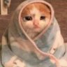 _sapphxc's profile picture. finding new obsessions as a hobby