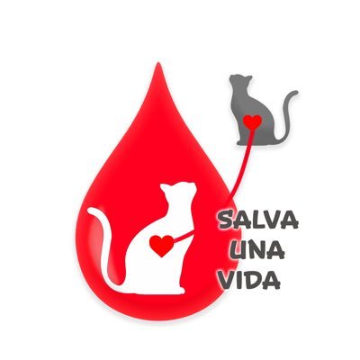 Somos una campaña para tutores de gatos, sobre la donación altruista de sangre. 🩸