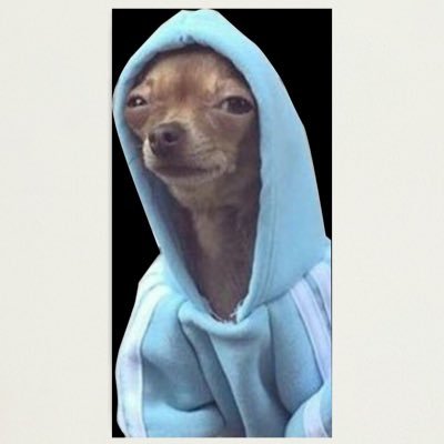 DogWifCoat_ Profile Picture