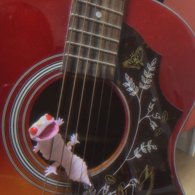 りんごさんのプロフィール画像