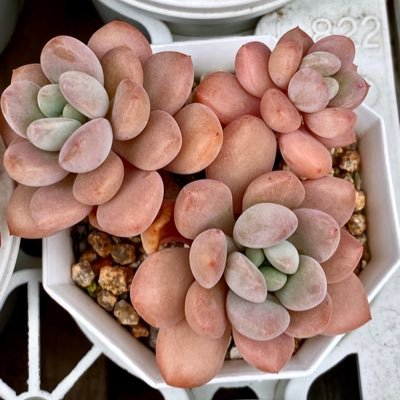 zzw0602's profile picture. 