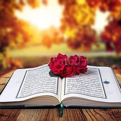 Are You Muslim.
Are you want to read One ayat of Quran Pak Daily.
Then Please Follow me.
I will Upload Quran Pak words and its Benifts.